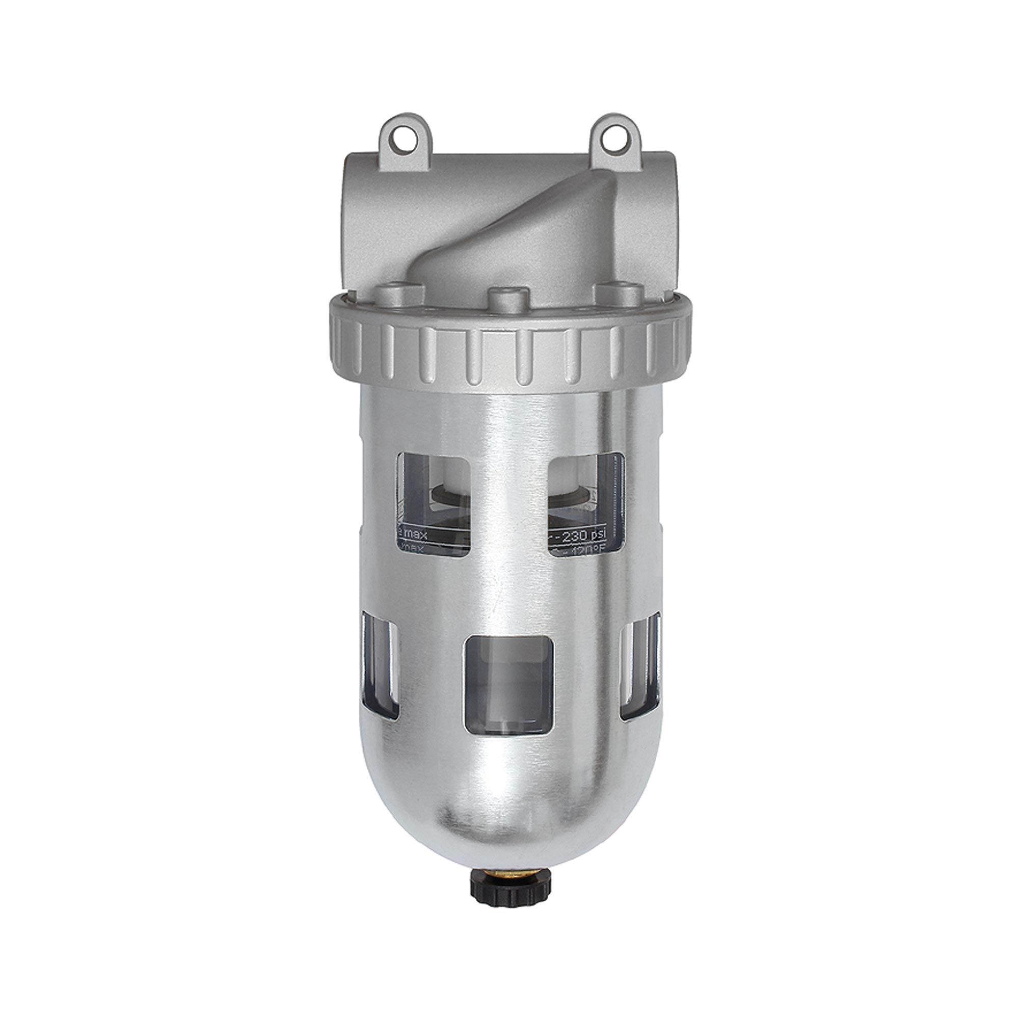 Filter »Standard«, PC-Behälter und Schutzkorb, 5 µm, BG 1, G 1/4