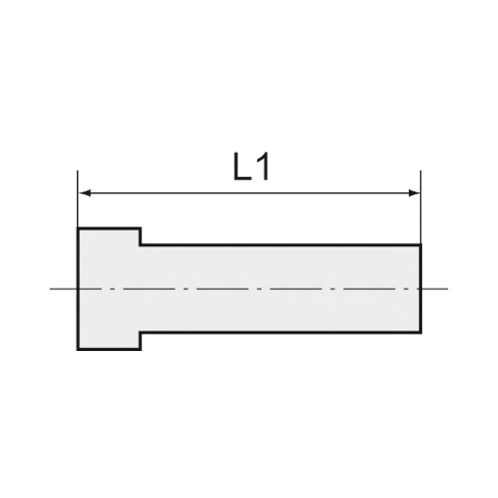 Hohlschraube, einfach, M5, Messing vernickelt