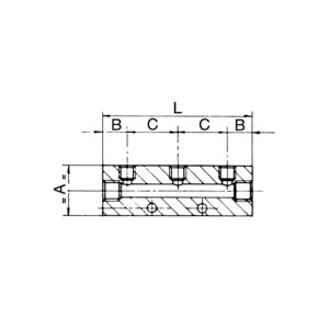 Verteilerleiste, Abgänge einseitig, Eingang 2x1/8, Ausgang 2xM5